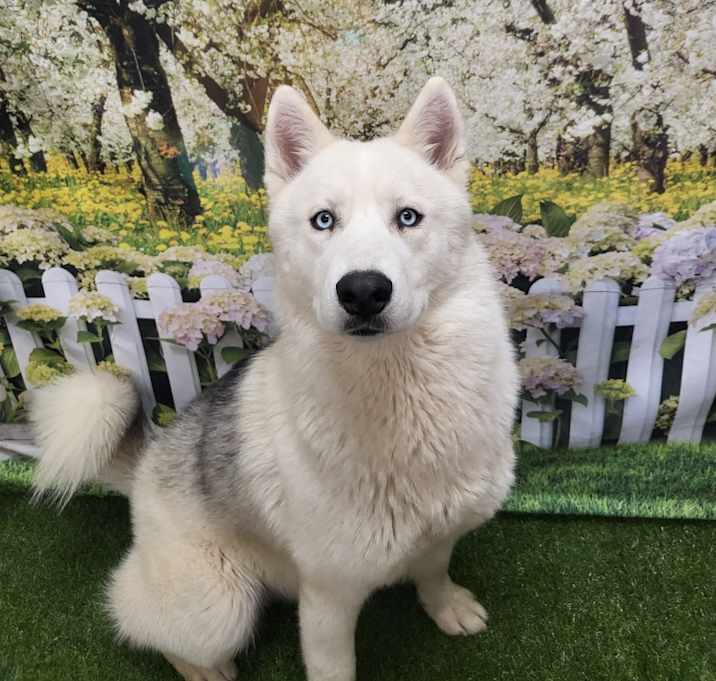 Photo of Armani