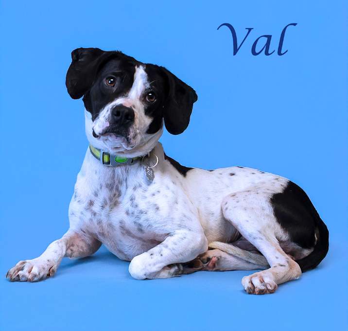 Photo of Val D25-072