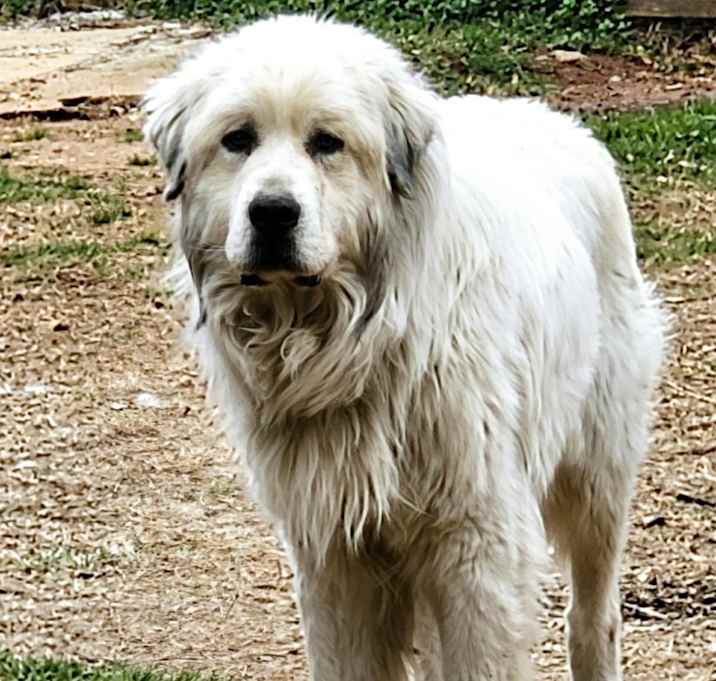 Photo of Zooro