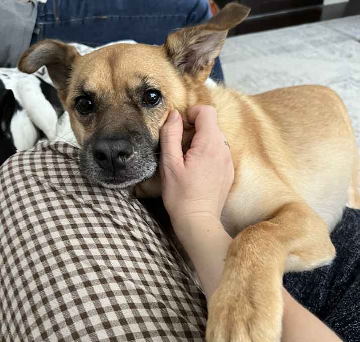 Photo of Finn