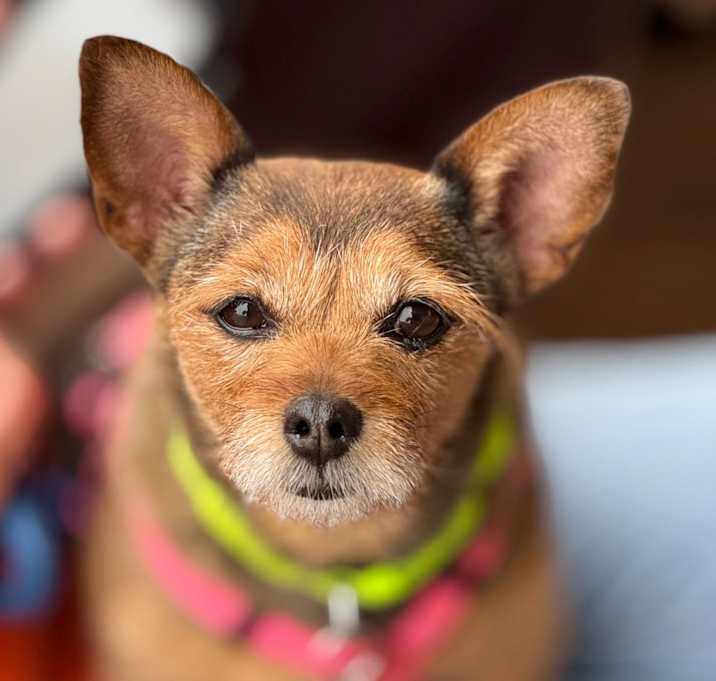 Photo of Kayla