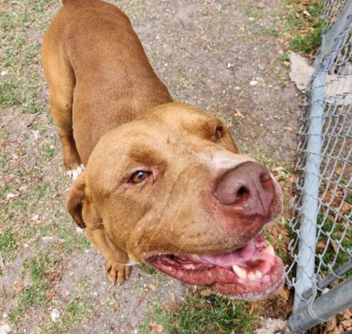 Photo of Rudy