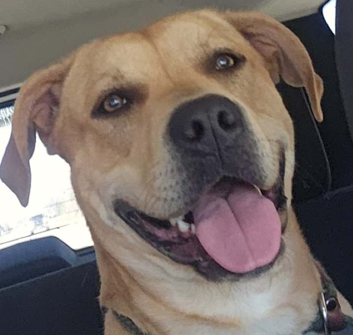 Photo of Maverick