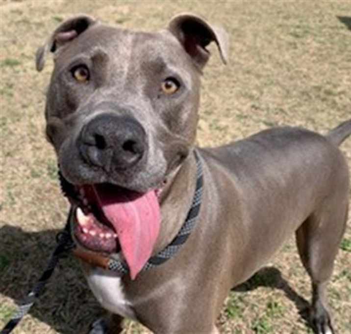 Photo of DUKE
