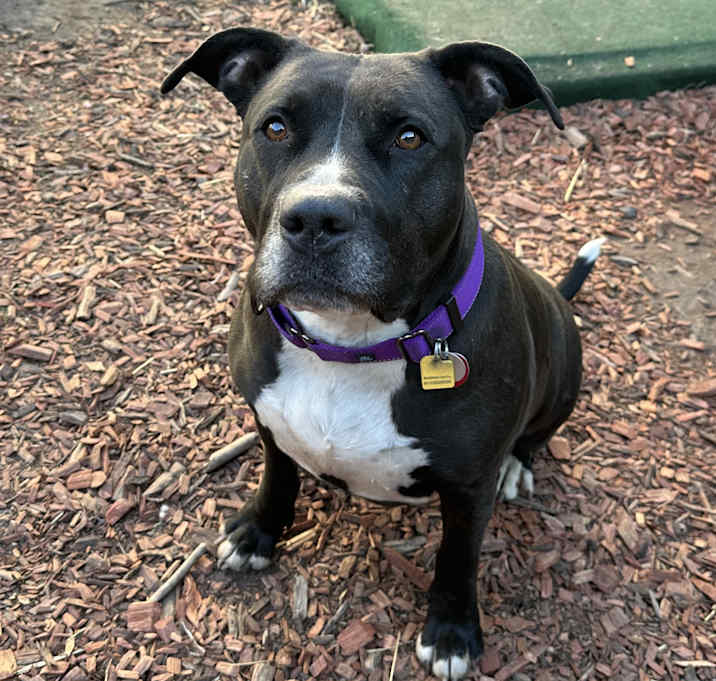 Photo of Xena