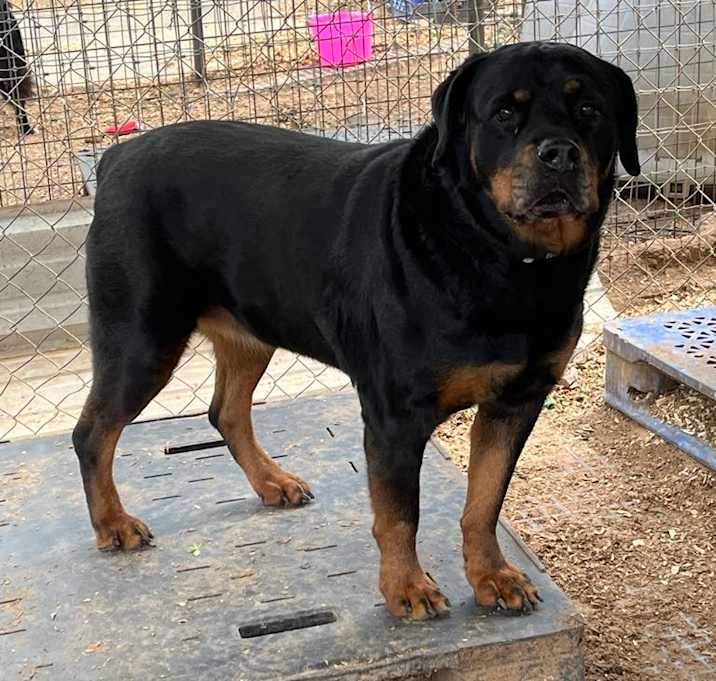 Photo of Diamond