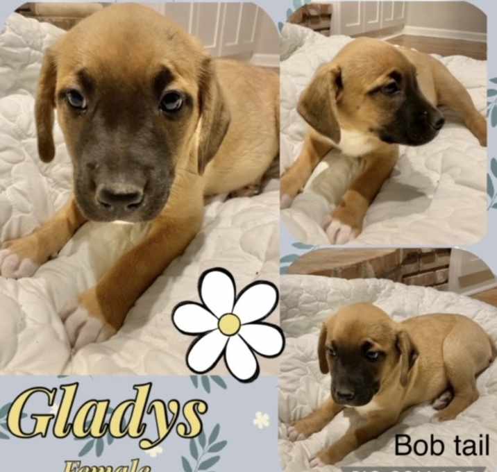 Photo of Gladys in CT