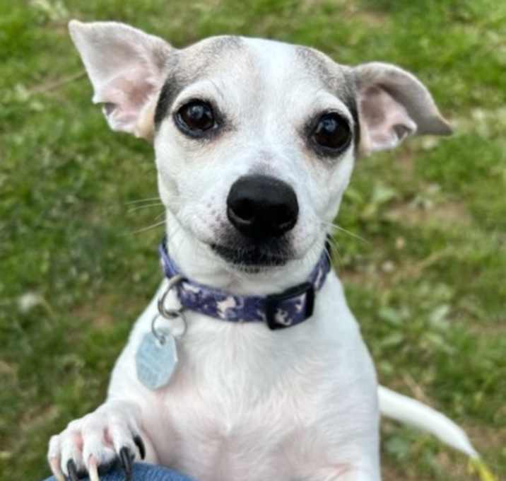 Photo of Princess