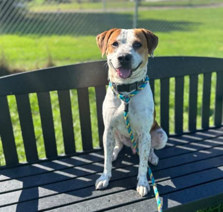 Photo of Butterball