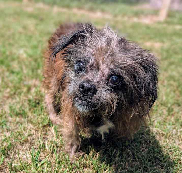 Photo of Trux