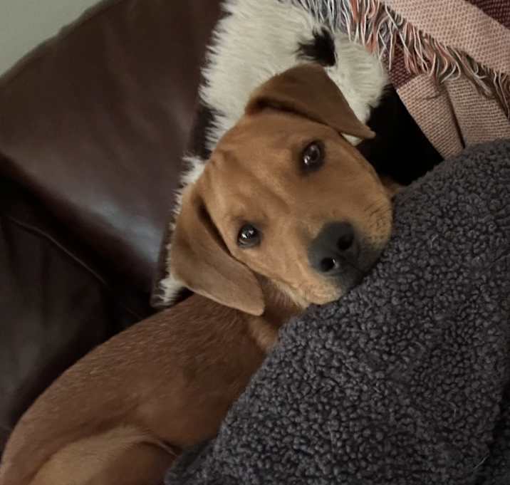 Photo of Stanley