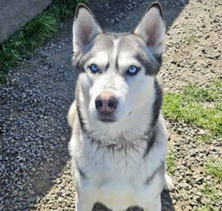 Photo of Danner