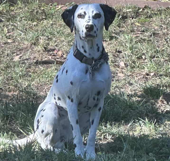 Photo of Murphy