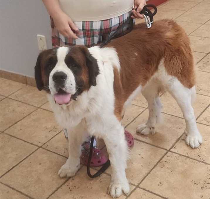 Photo of CLYDE