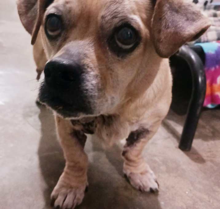 Photo of Mrs. Pickles