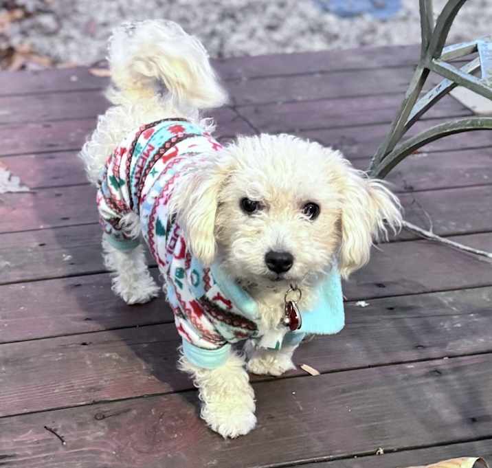 Photo of Mia