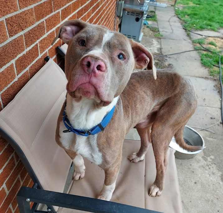Photo of Knox