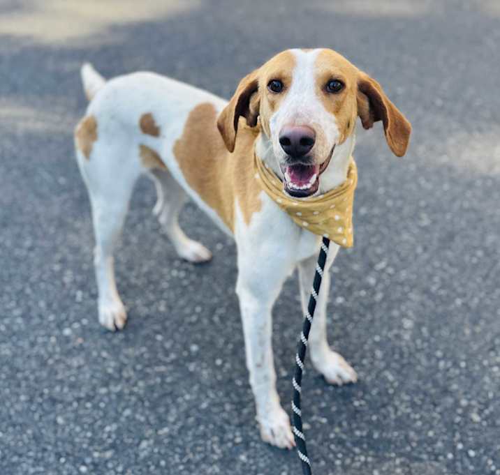 Photo of Bessie
