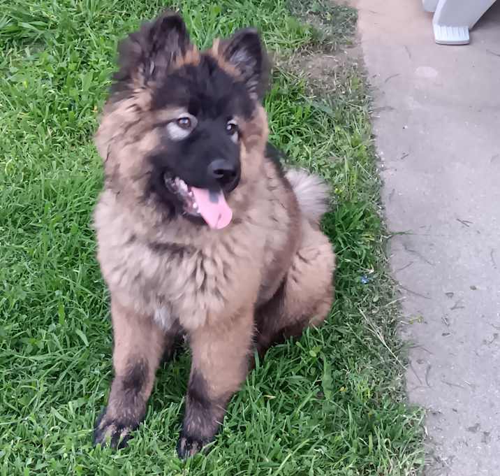 Photo of waiting for you to name her