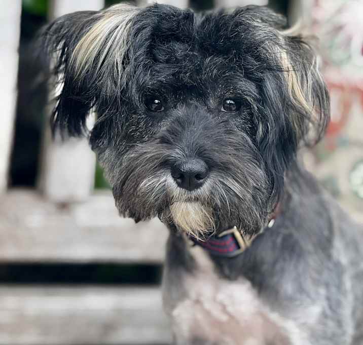 Photo of Willa