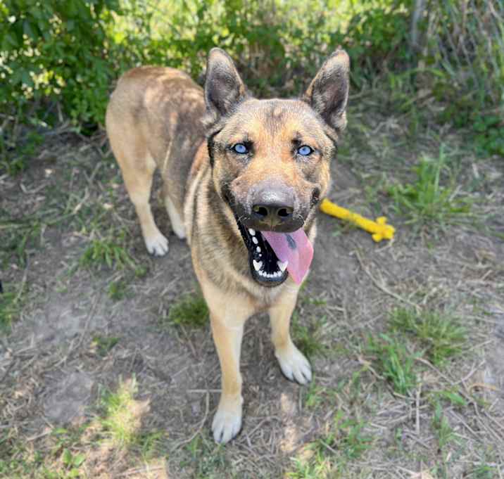 Photo of Duke