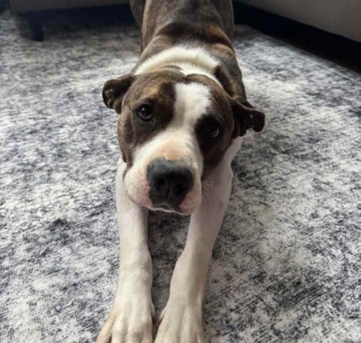 Photo of Lillith