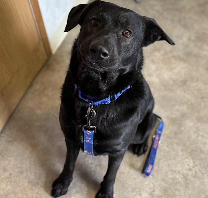 Photo of Buddy
