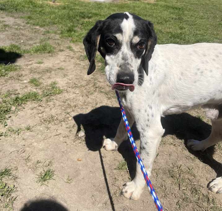 Photo of Zeke