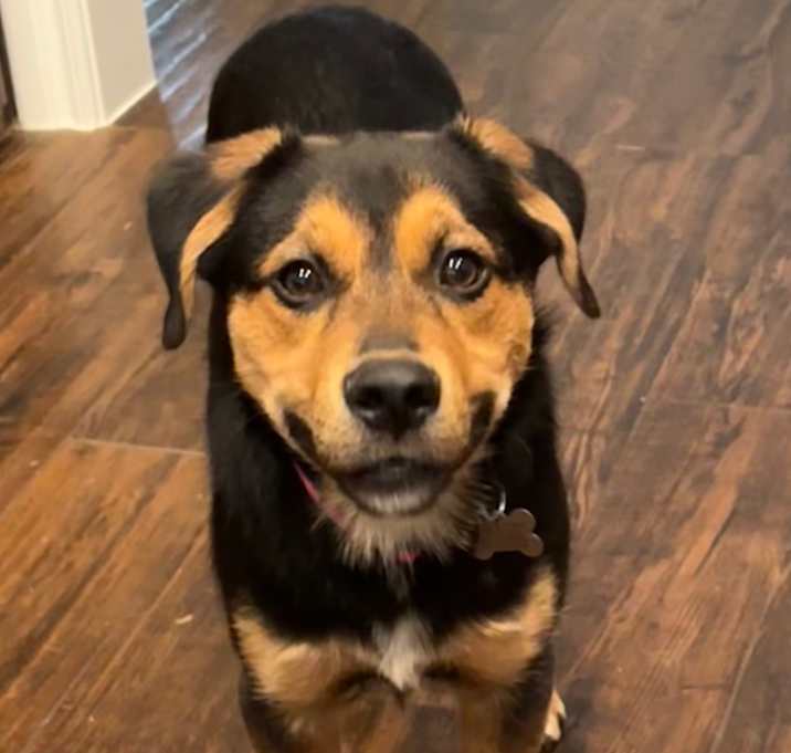 Photo of Cash
