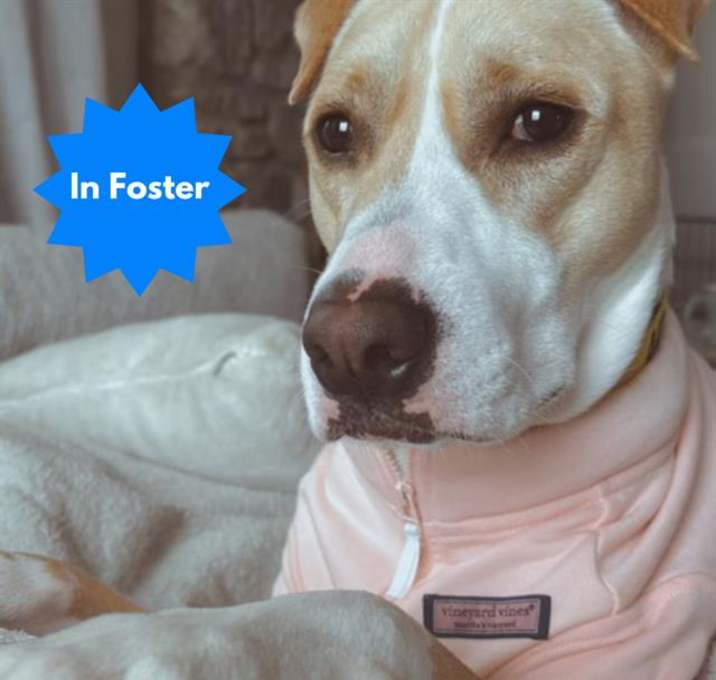 Photo of DAISY