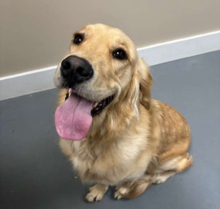 Photo of Sadie Jo