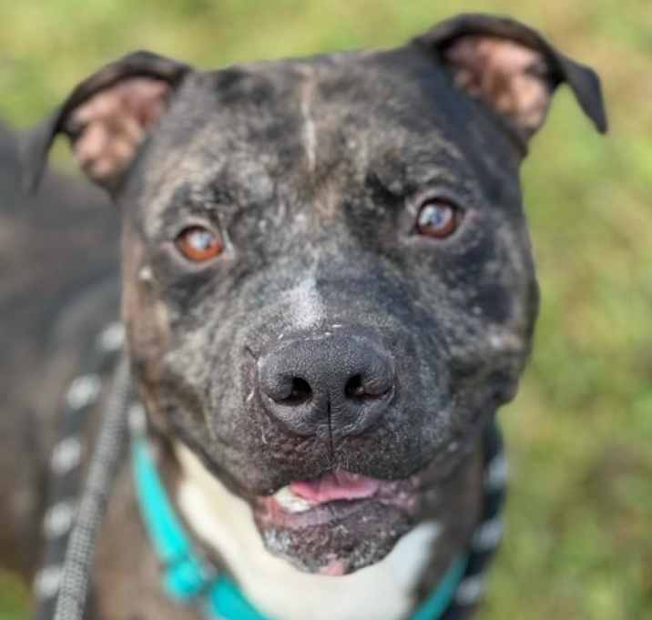 Photo of Bronx
