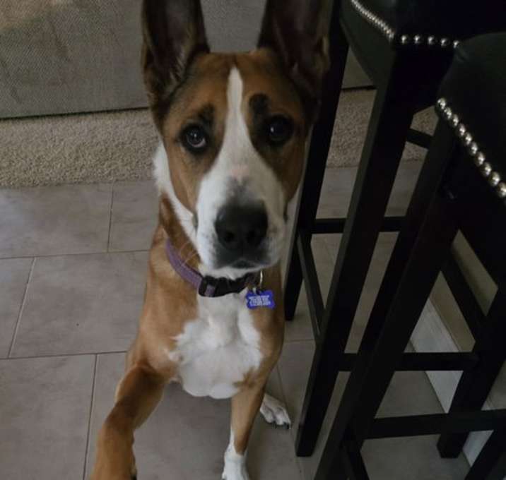 Photo of Hermes