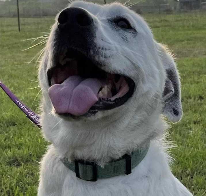 Photo of Fiona