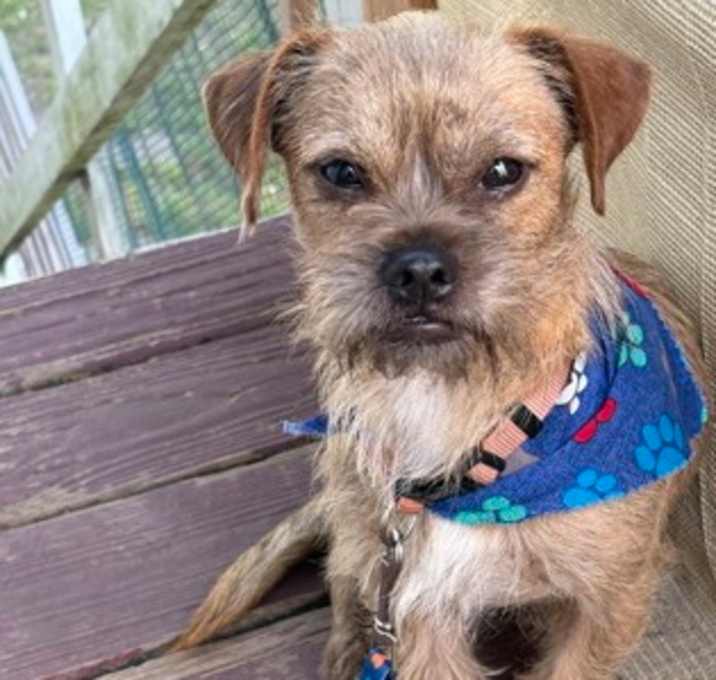 Photo of Jake
