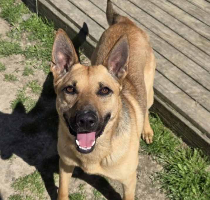 Photo of Butch
