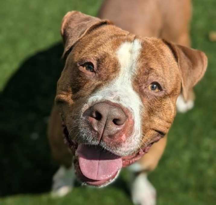 Photo of Sisko