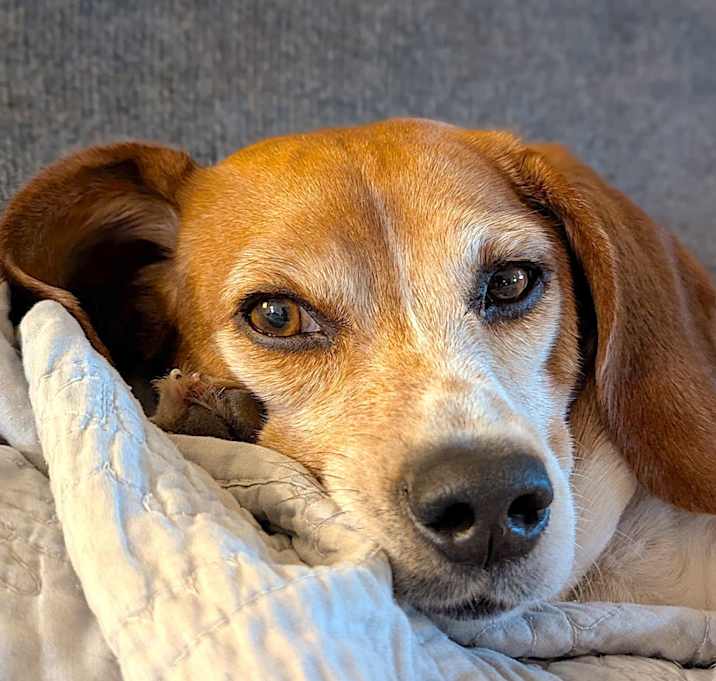 Photo of Lucie