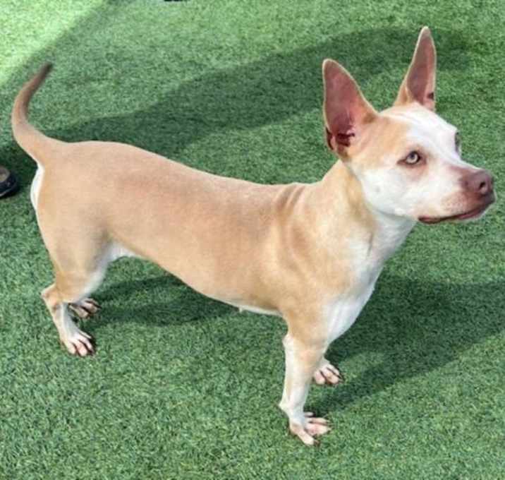 Photo of HONEY