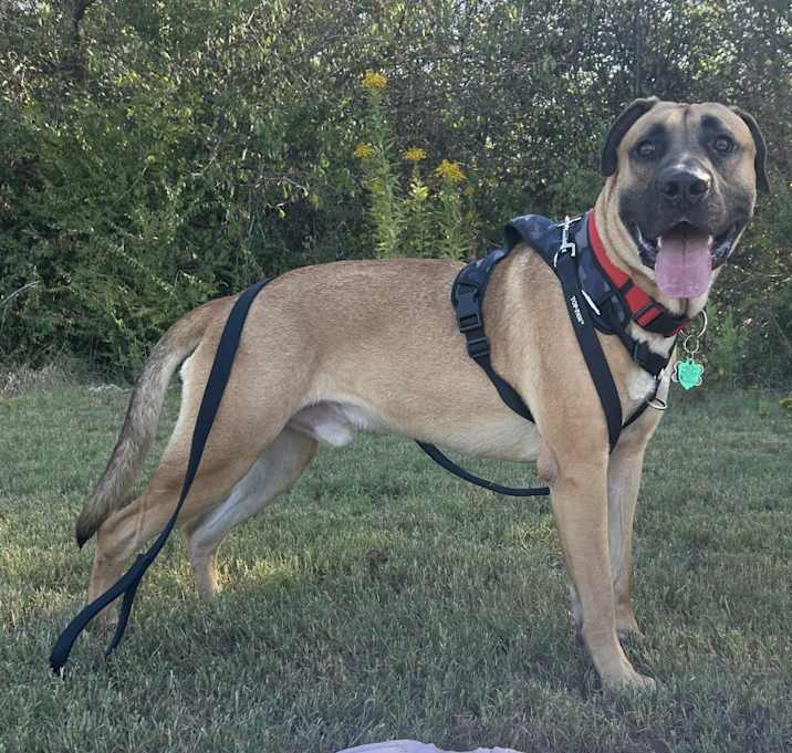 Photo of Gus