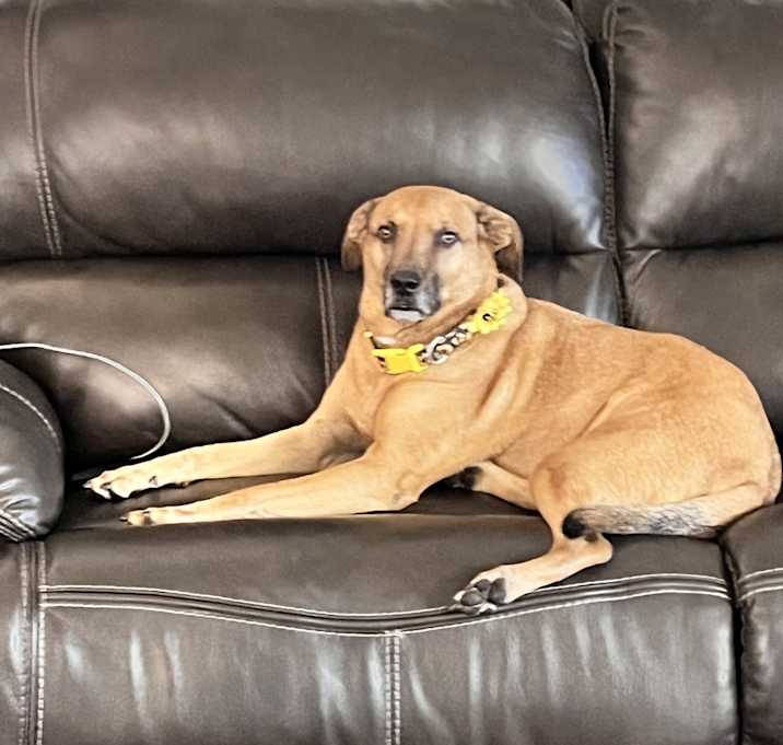 Photo of Bean