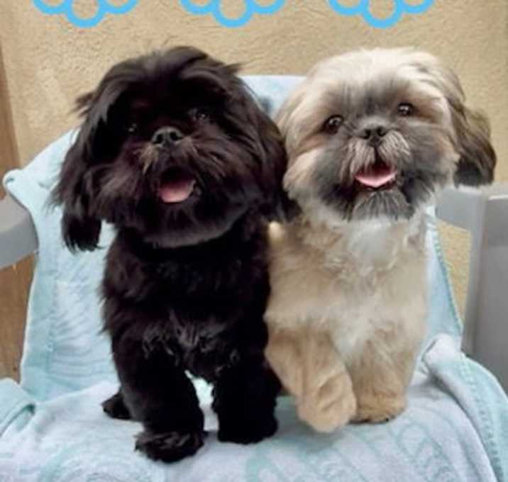 Photo of Abby & Bear