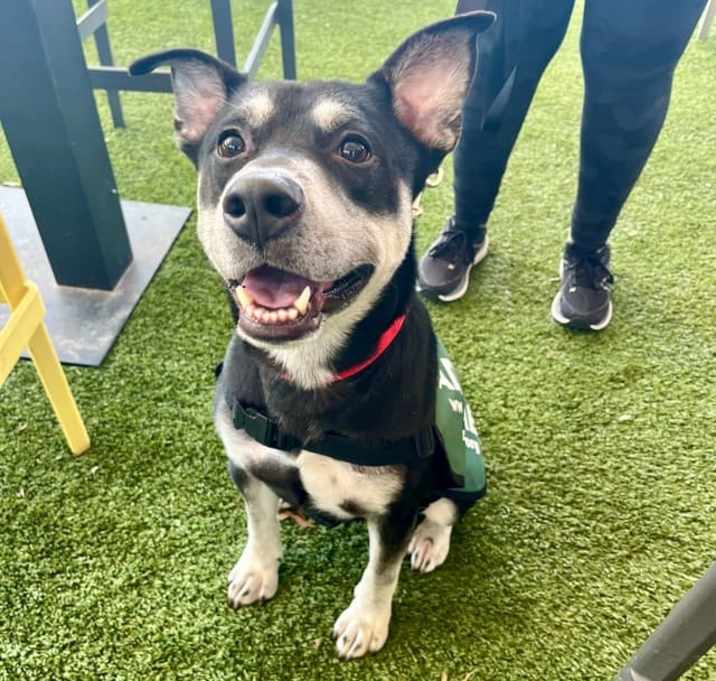 Photo of Ghost