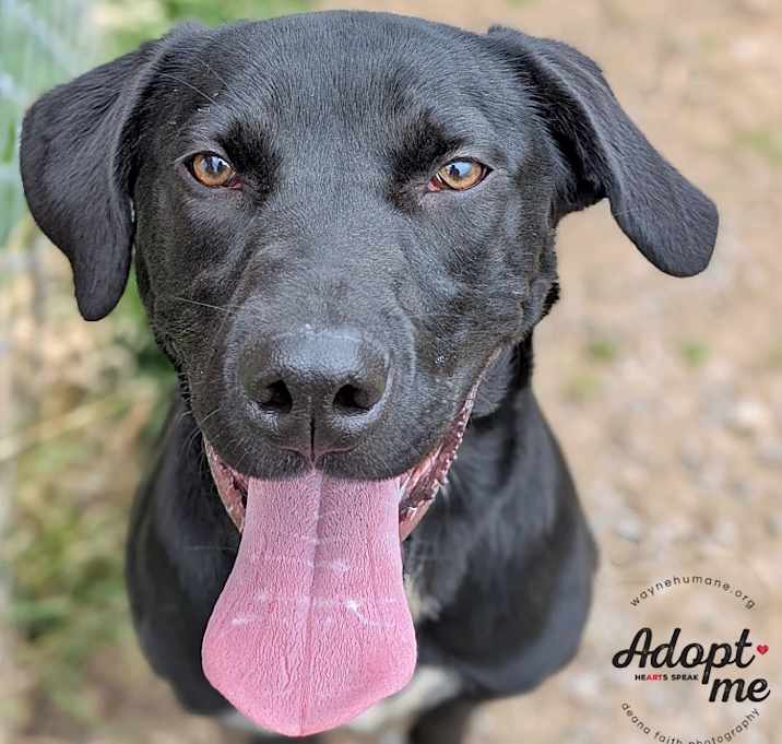 Photo of Max