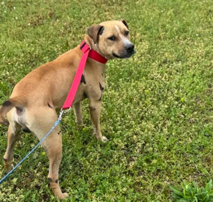 Photo of Highway Nate