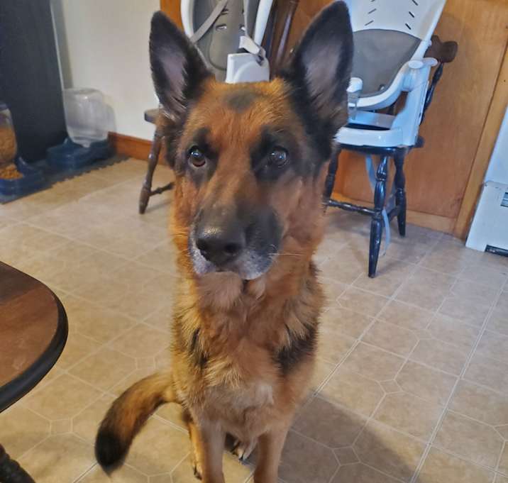Photo of Izzy