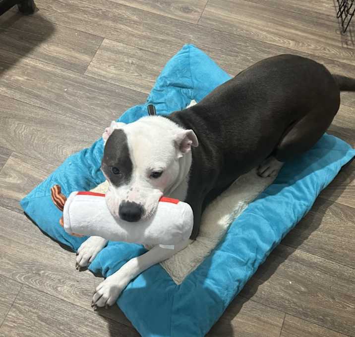 Photo of Xena