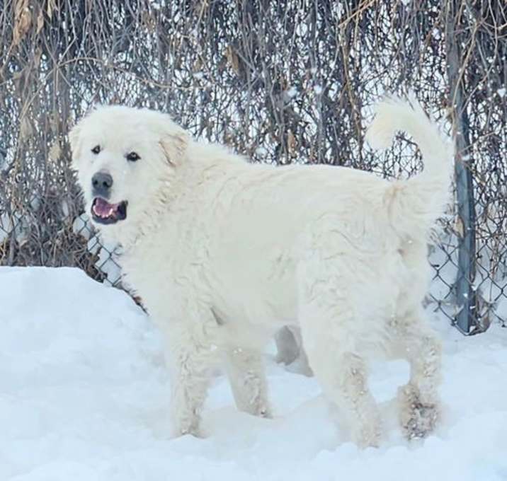 Photo of Ava