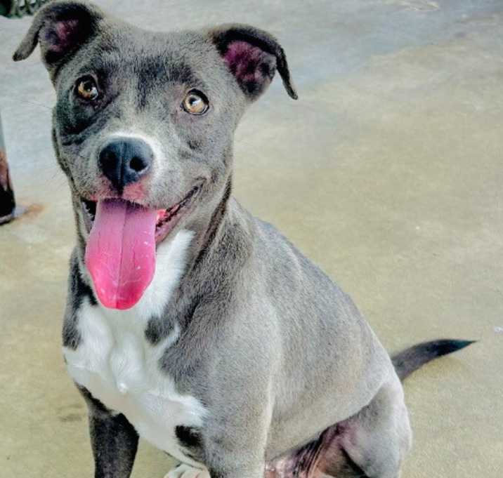 Photo of Sally