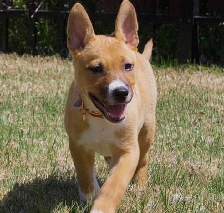 Photo of Daisy Mae
